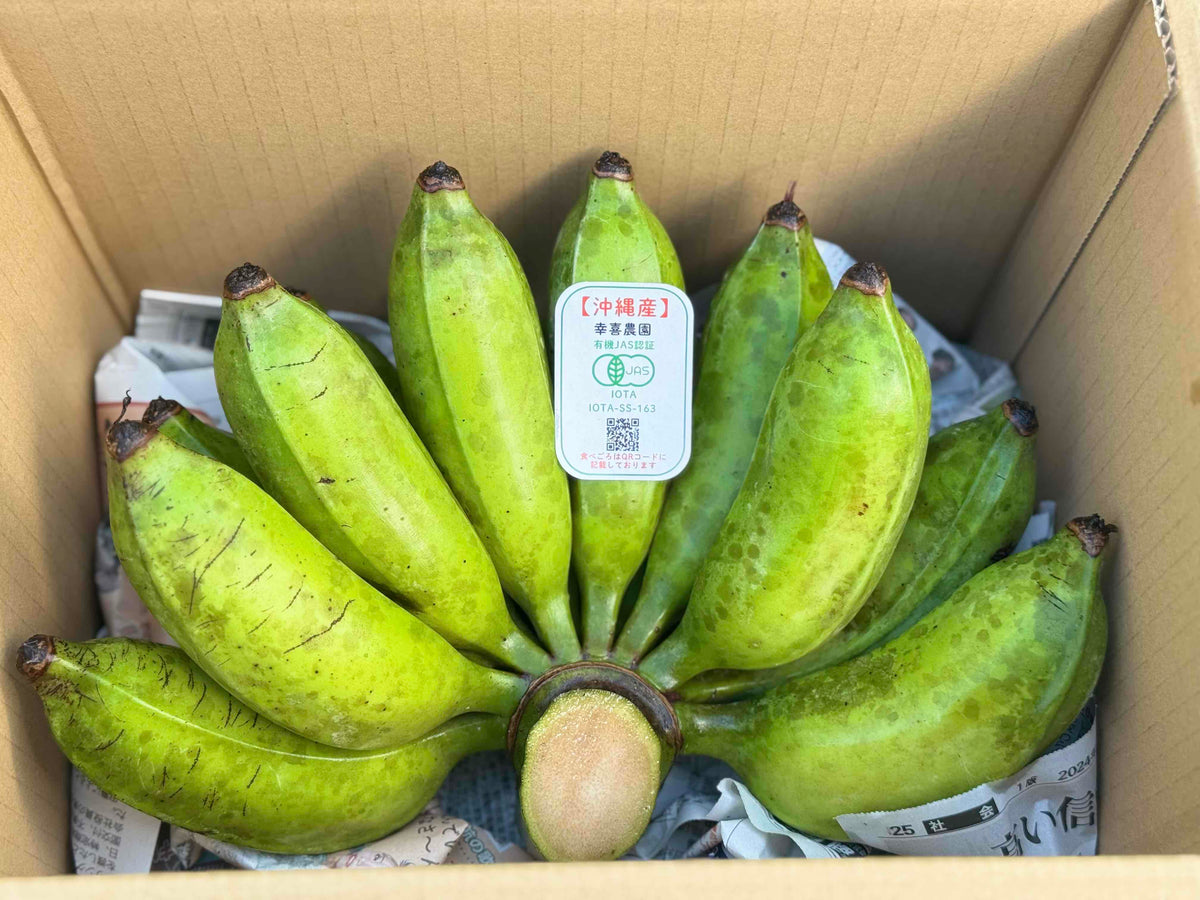 沖縄・宜野座村のKOUKI FARM